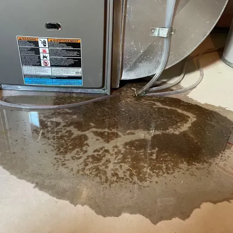 Appliance Leak Cleanup in Kincaid, IL